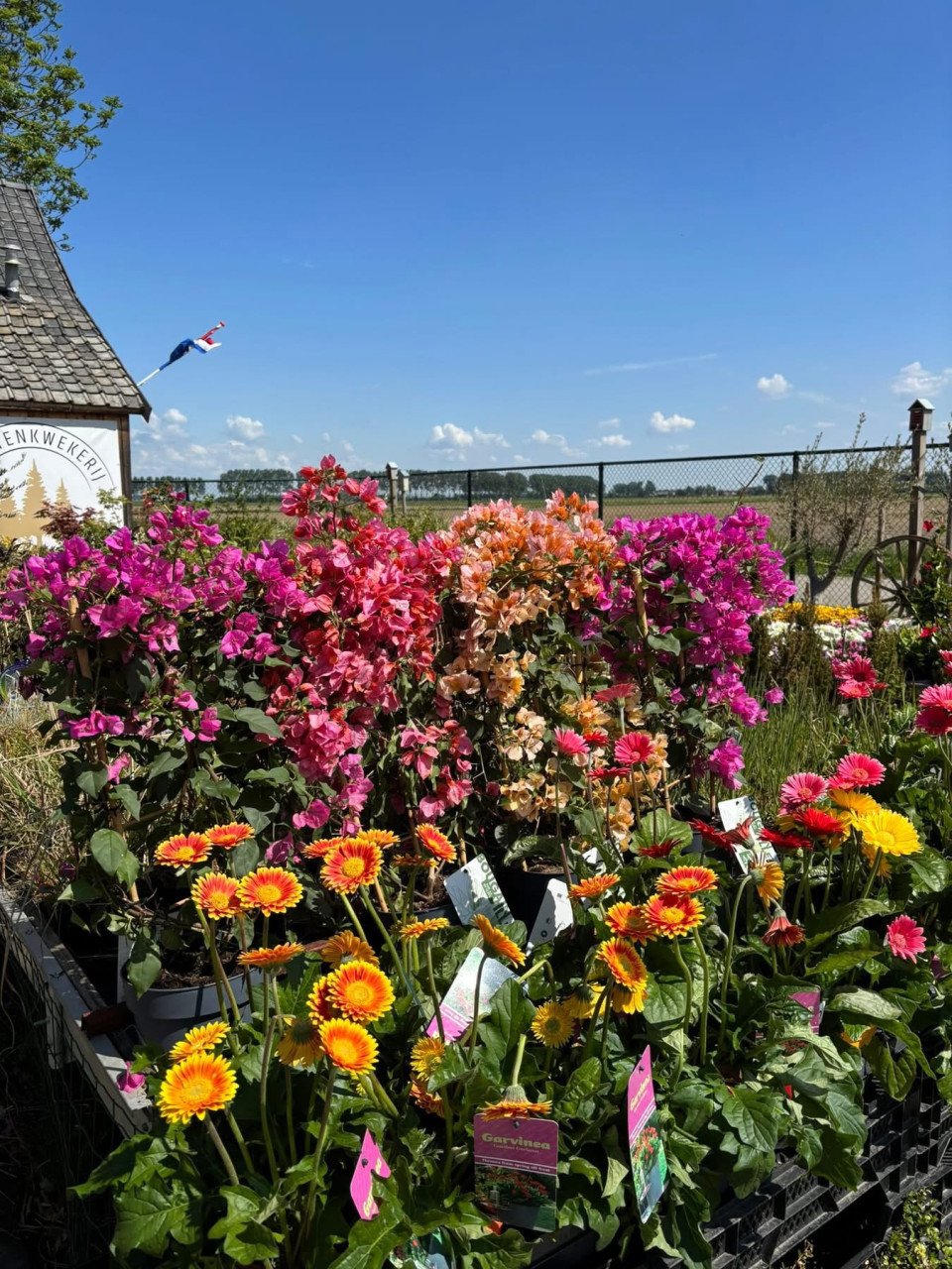 PLANTENKWEKERIJ ‘t GROENE LAND- Moederdagcadeaus