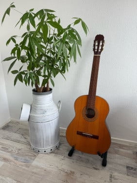 Akoestische gitaar (rechtshandig) incl. tas en standaard