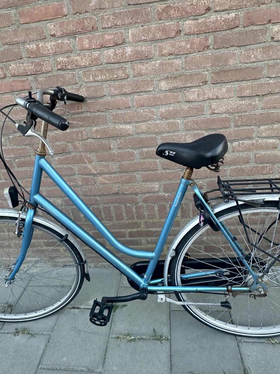 Opknapper dames Limit Impulse