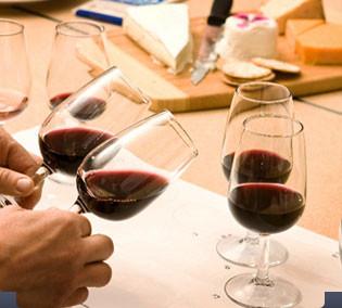 Wijncursus in Middelburg (6 avonden)