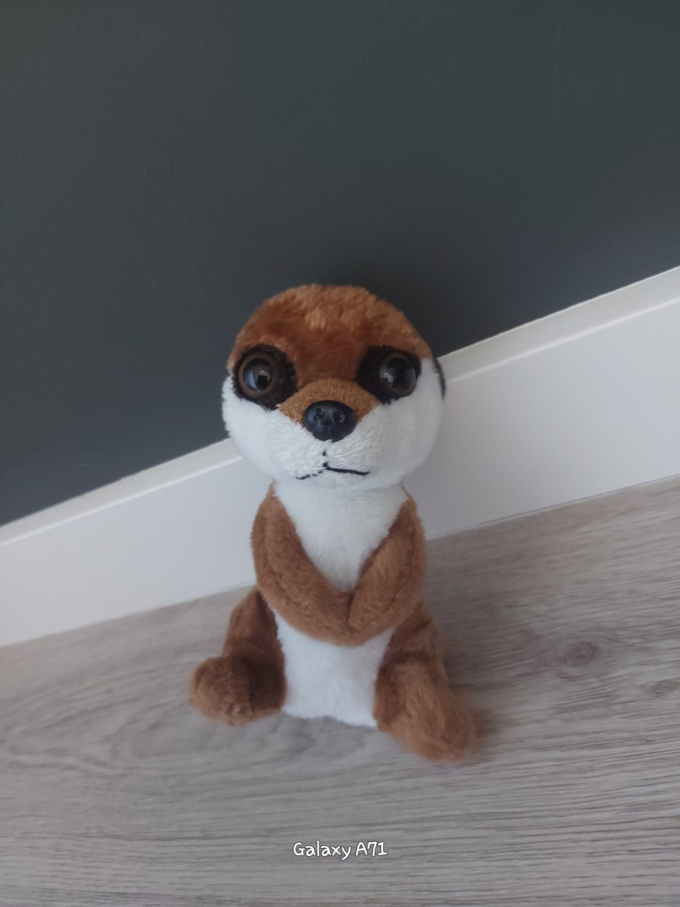 Diverse kleine knuffels