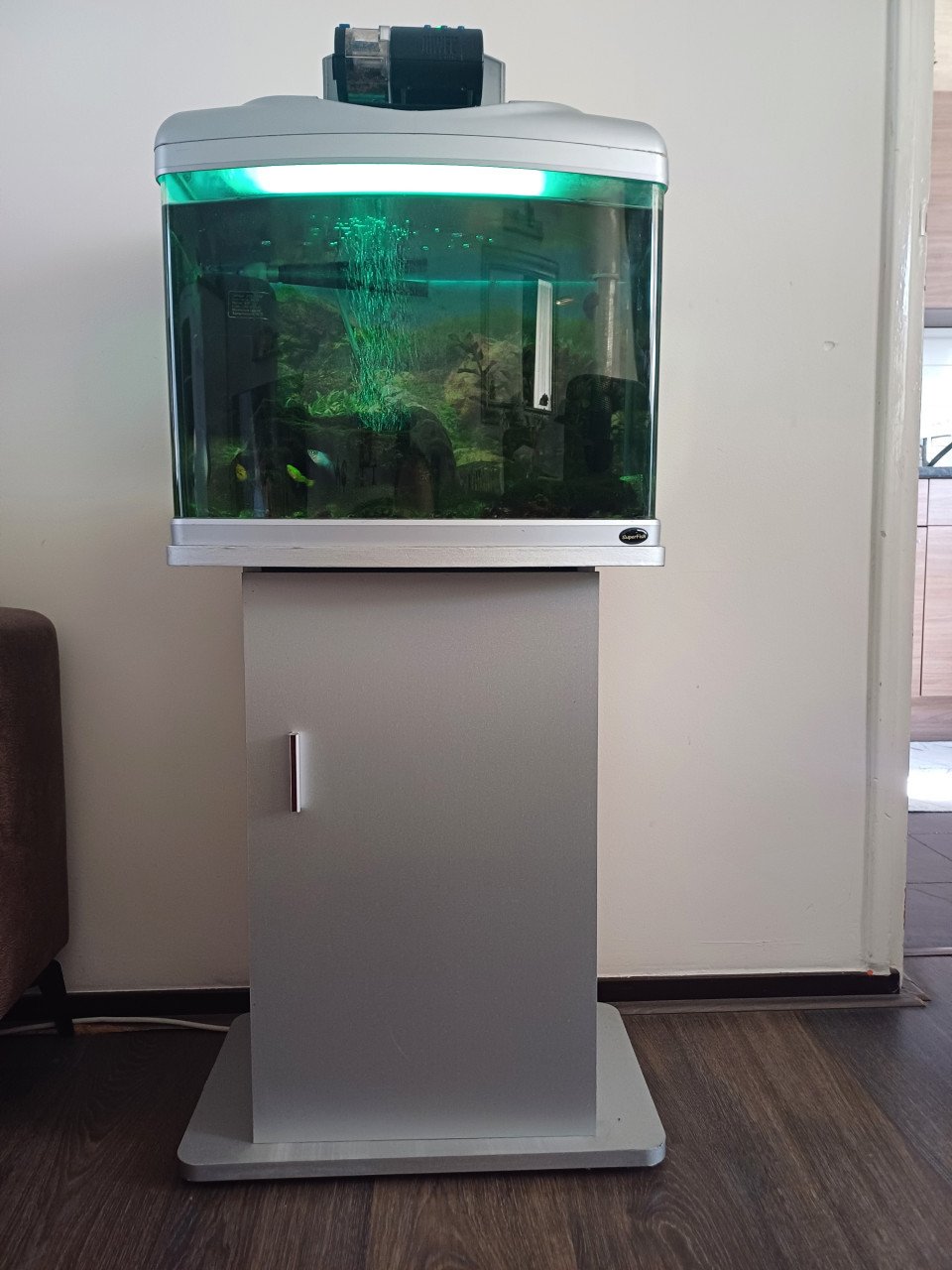 Aquarium met toebehoren