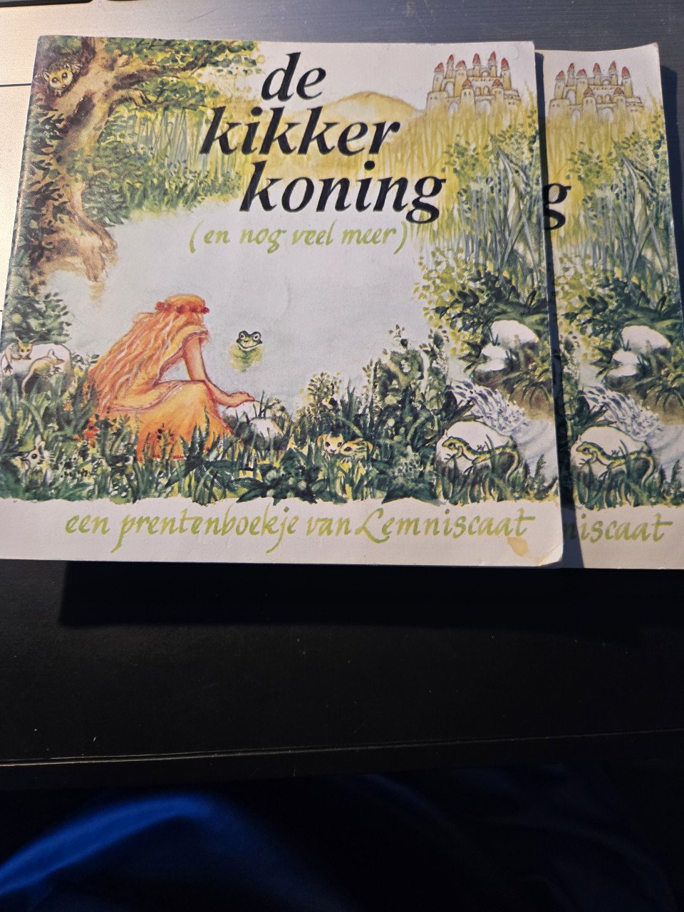 2x Prentenboekje De kikkerkoning 1979 Sprookje van Grimm
