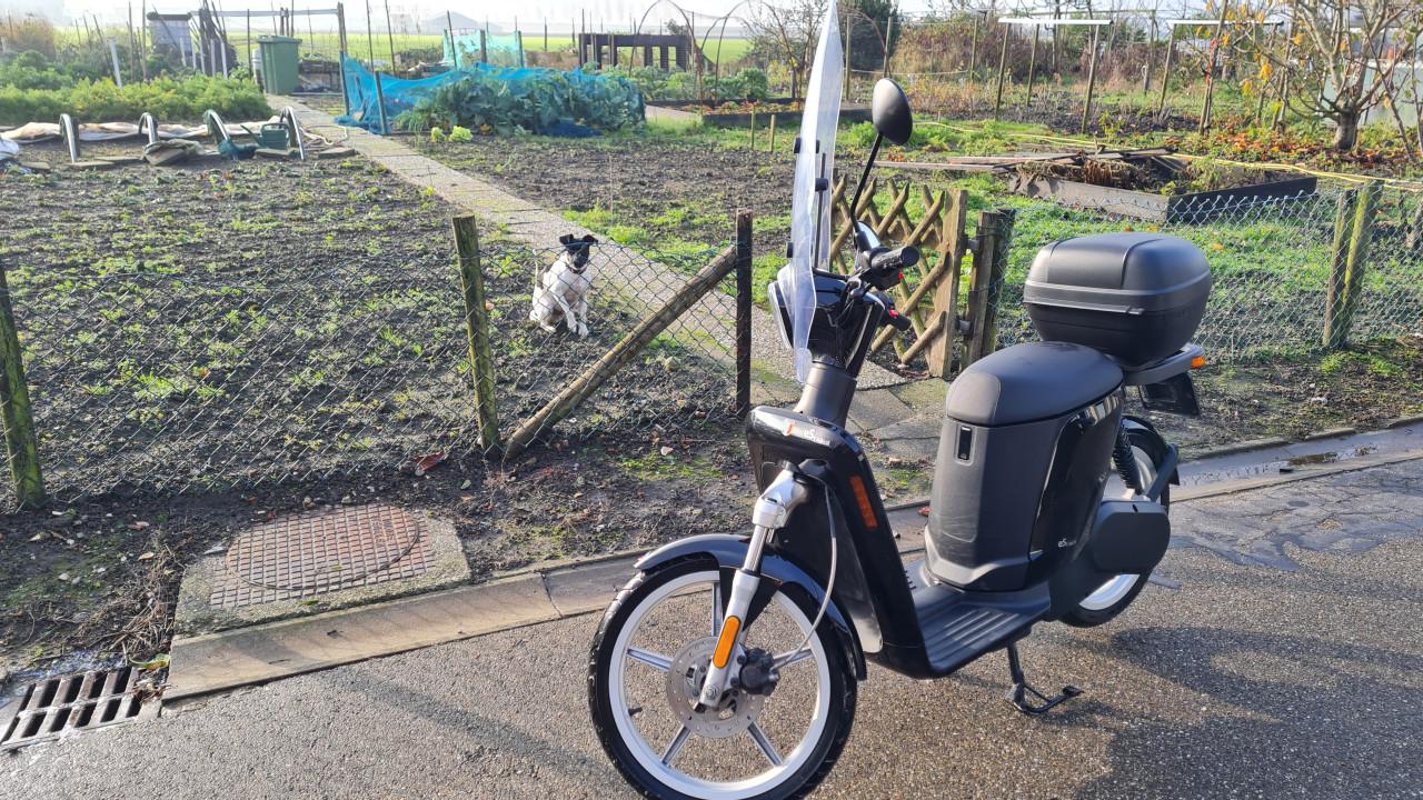 Electrische scooter te koop