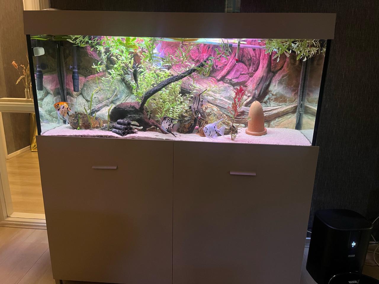 Aquarium en kast