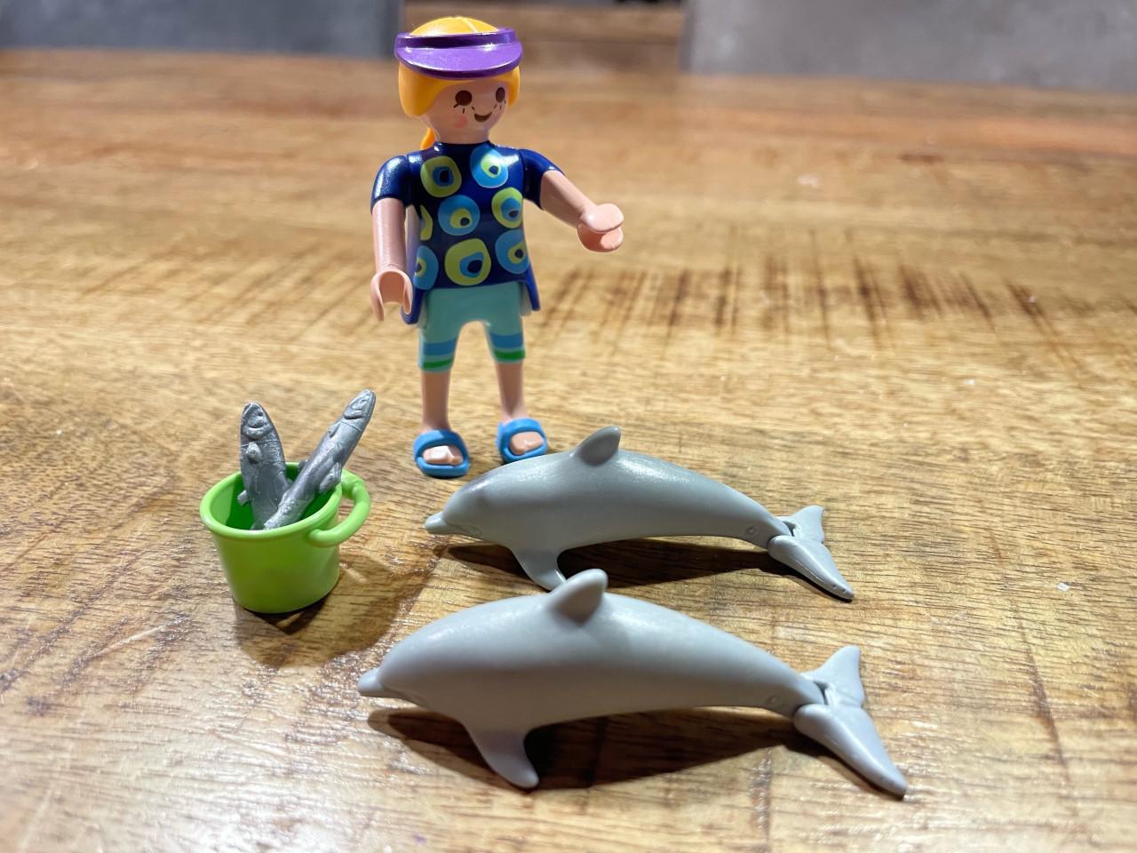 Kleine setjes playmobil