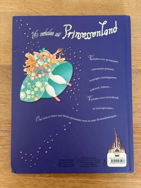 Voorleesboek 16 verhalen uit Prinsessenland - Mireille Saver