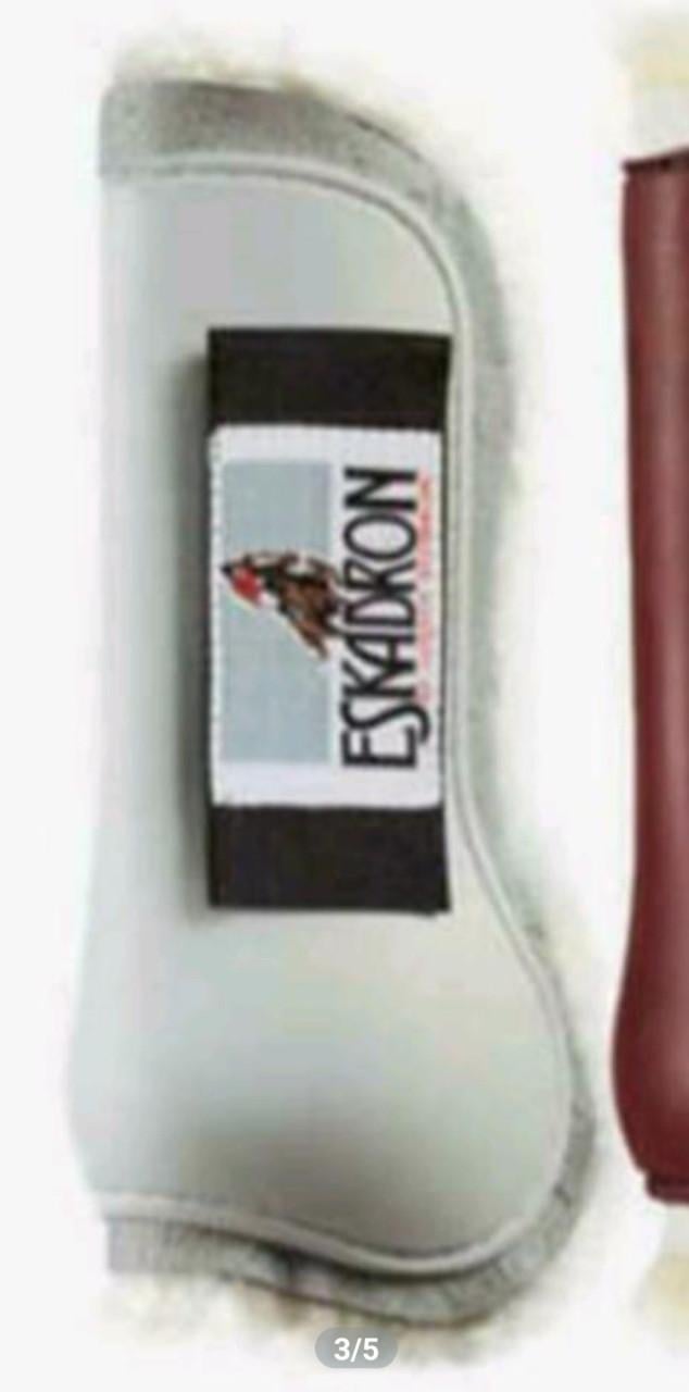 Eskadron beschermers