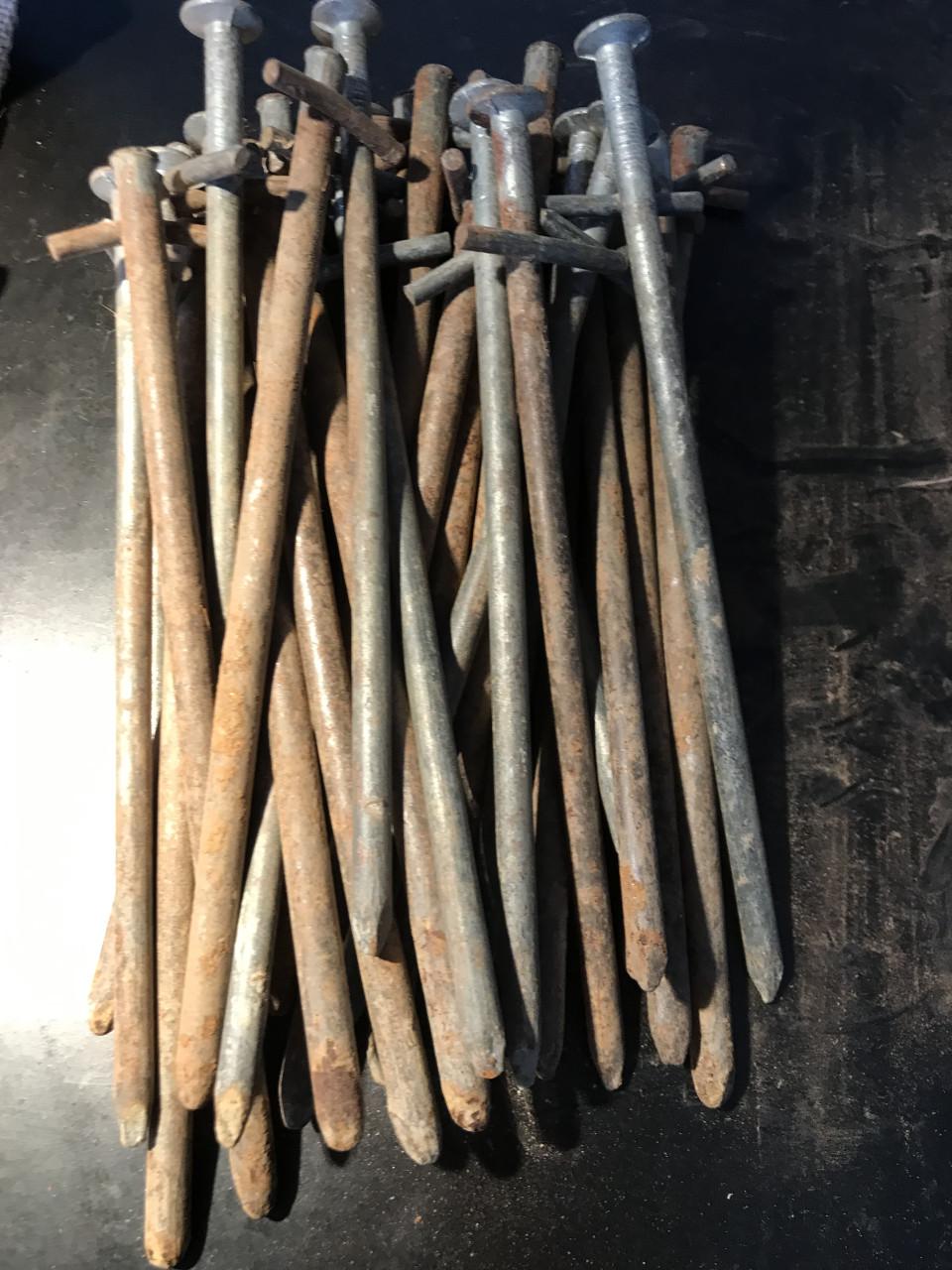 38 stalen korte Tentharingen (rotspinnen)