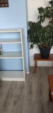 Ikea boekenkasten GRATIS