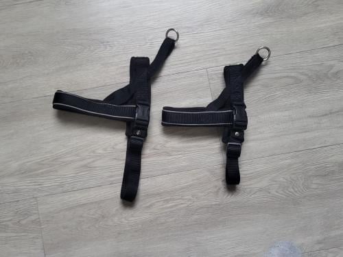 Tuigje tuig borsttuig Hunter Norweger racing 2 maten, verstelbaar