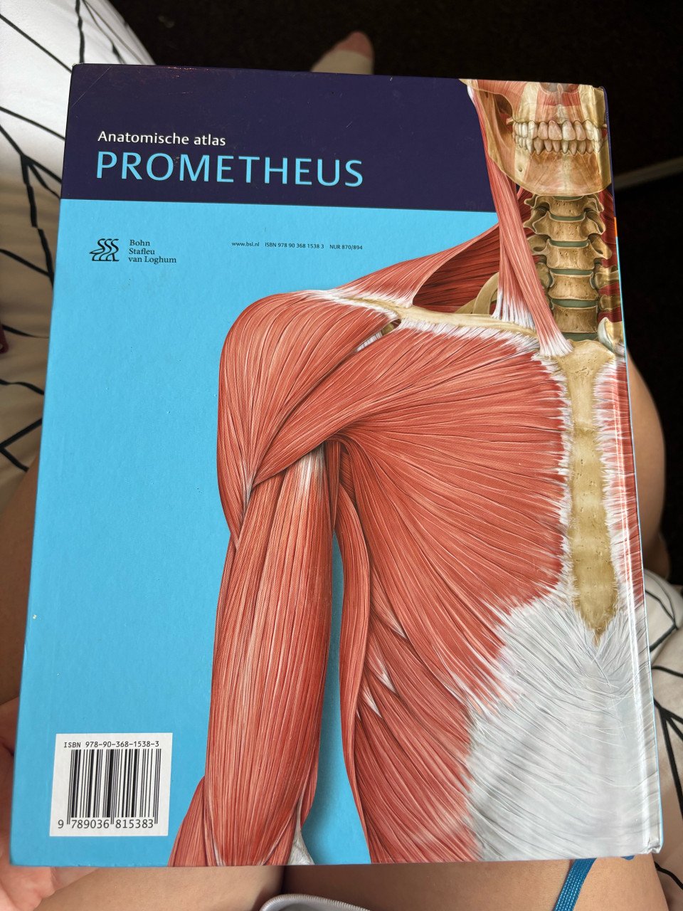 Anatomische atlas