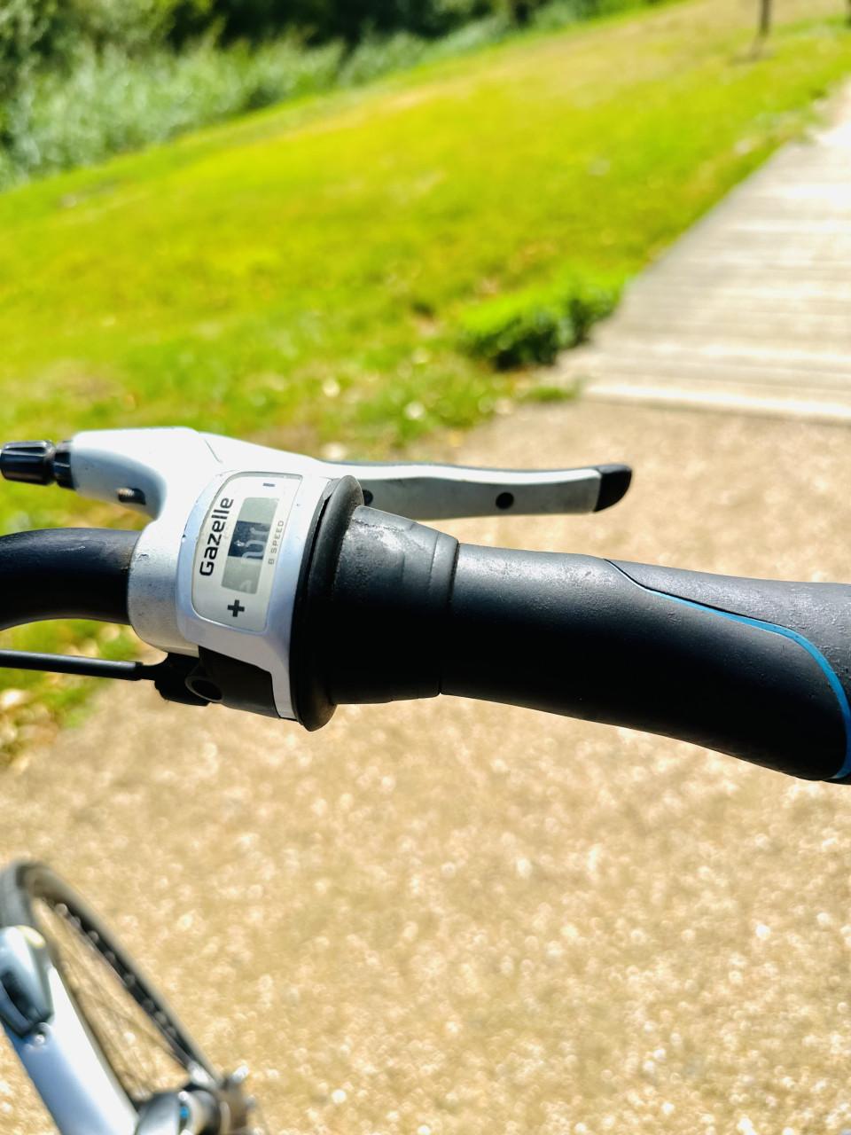 Gazelle Damesfiets 28inch - 8 versnellingen