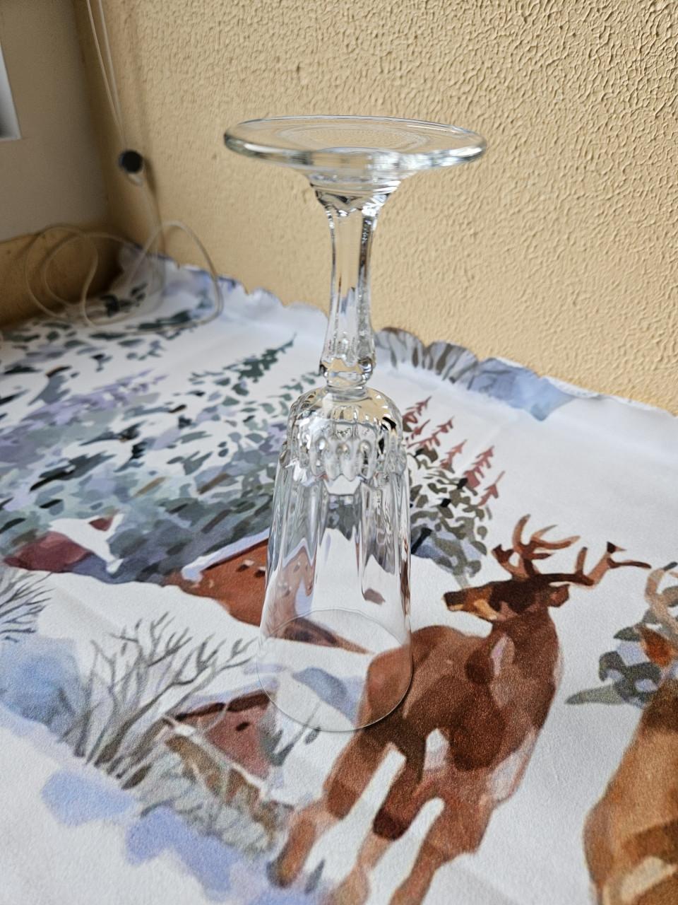 Champagne glazen 6 stuks