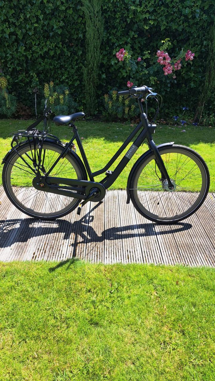 Gazelle Esprit Black mat mt 54