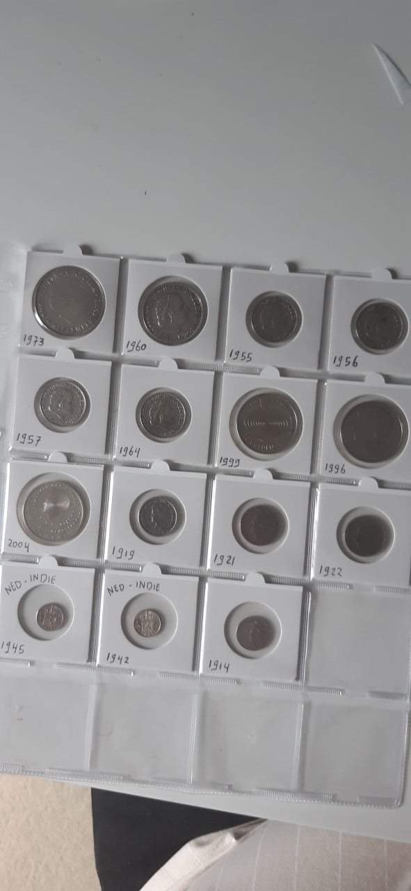 15 zilveren munten