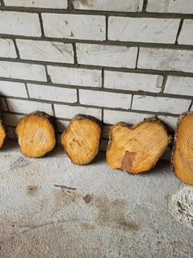 Perenschijven vanaf 1,50 euro.