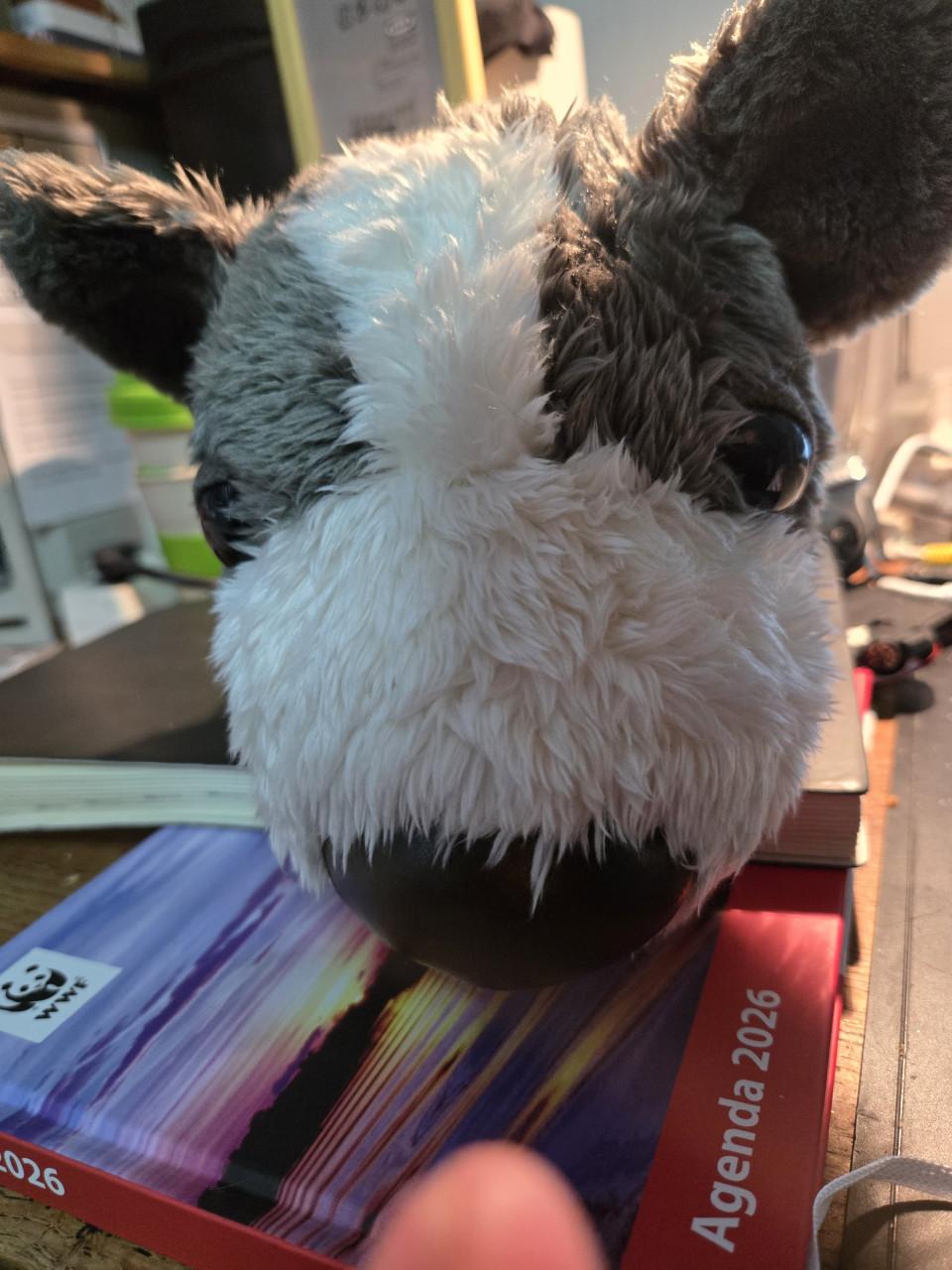 Pluche hond, 27cm, Vintage, 2000, Artlist, The Dog Collection