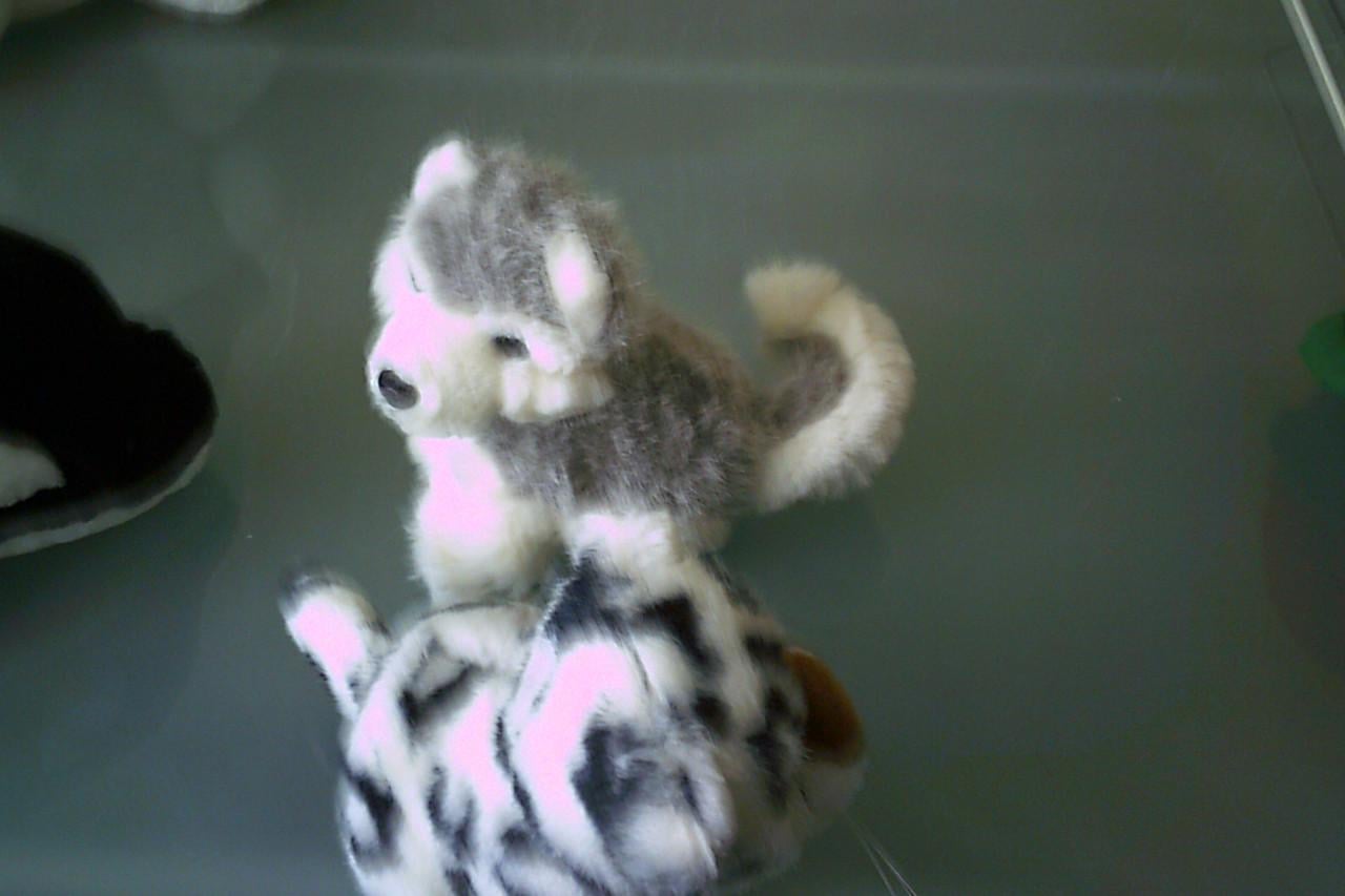 Vier NIEUWE stoere knuffels ...