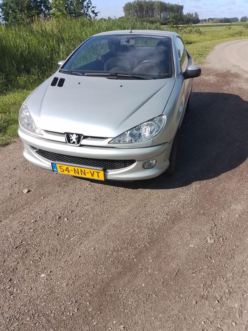 Peugeot206