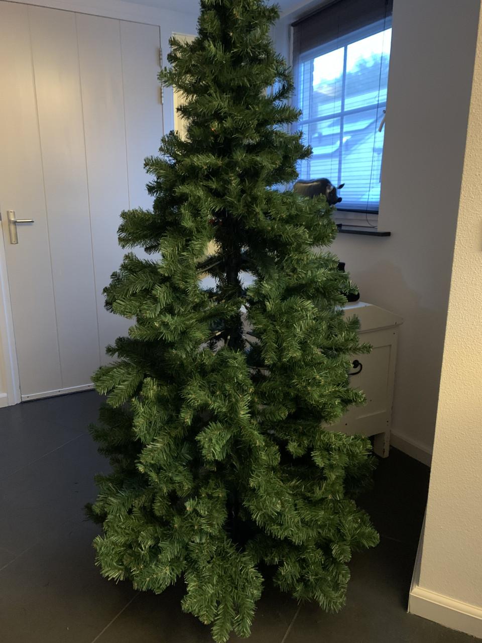 Kerstboom ong 2 meter