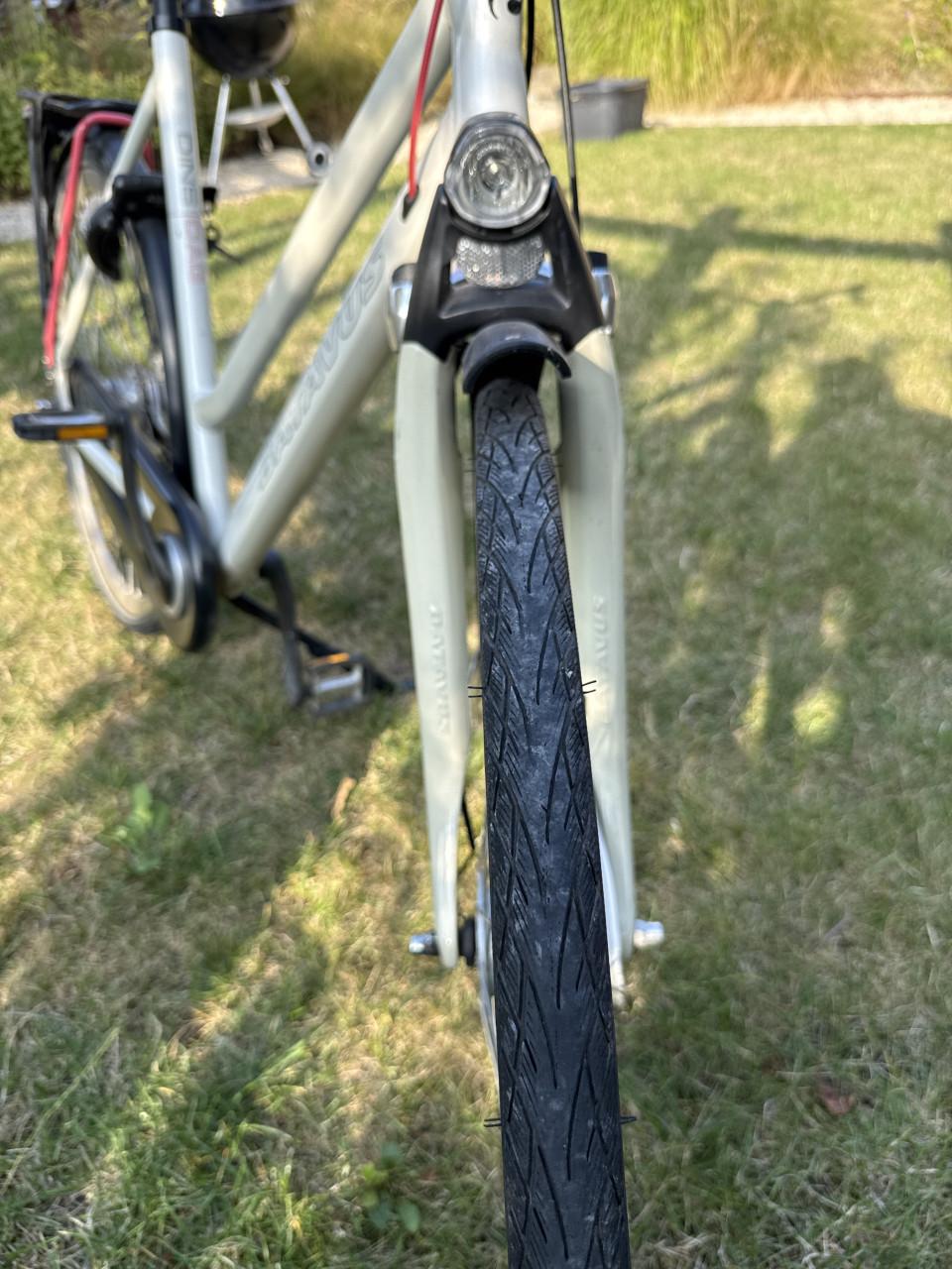 Batavus Dinsdag damesfiets