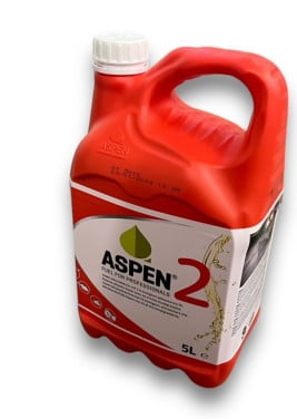 Aspen 2