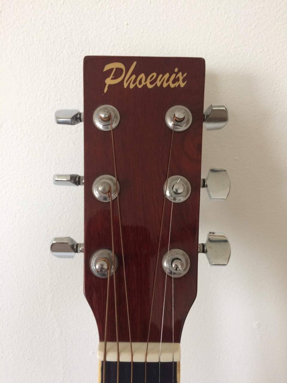 Phoenix 001 western gitaar