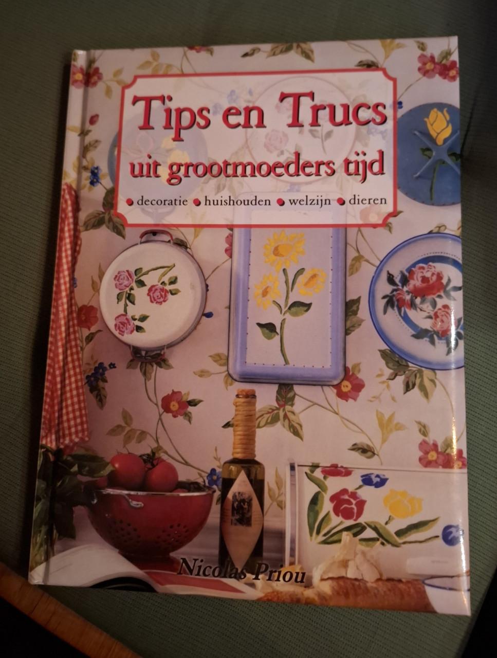 Tips en trucs uit grootmoeders tijd, door N. Priou