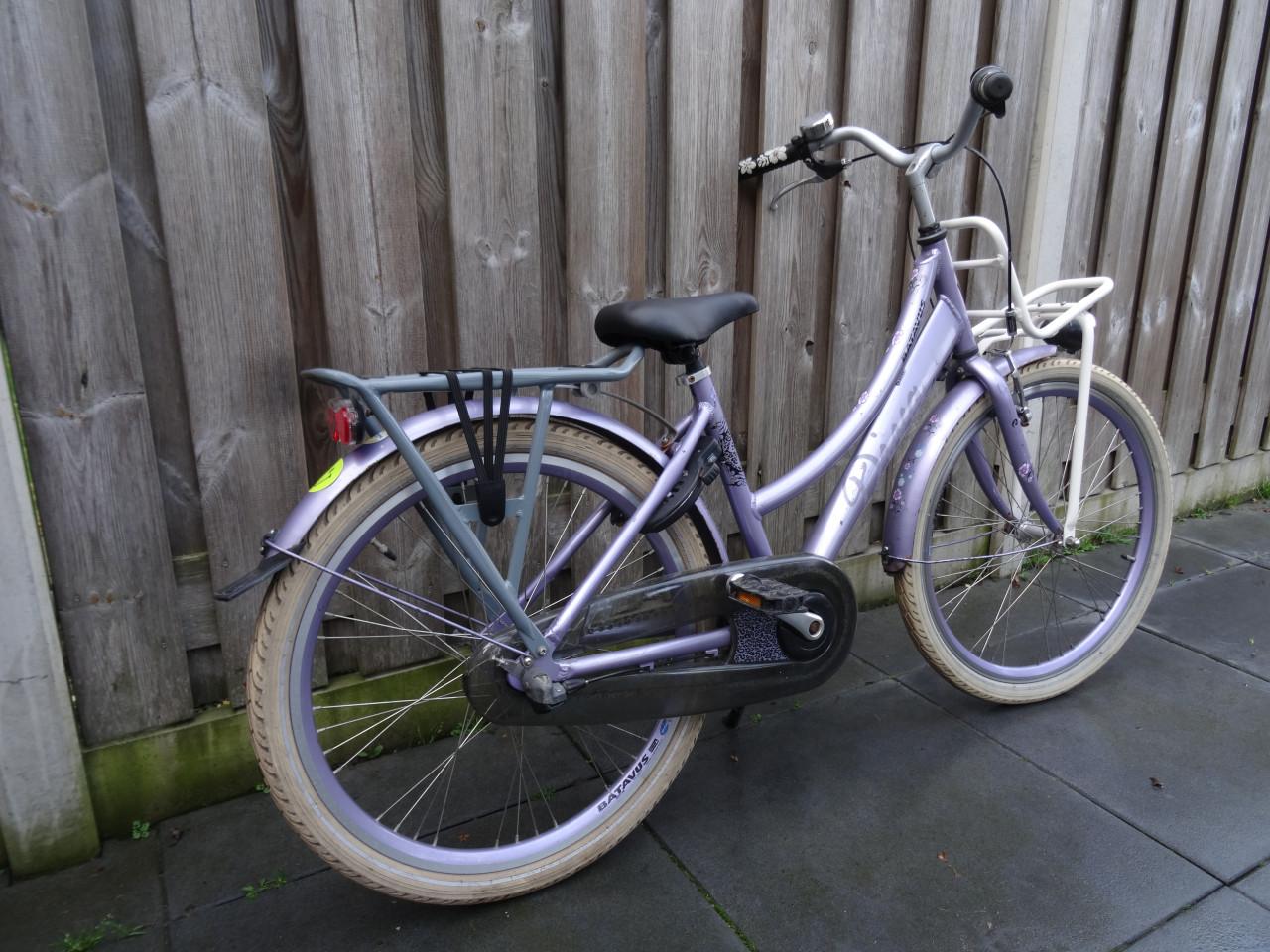 🚲💜 Batavus Diva 24 inch Transport Meisjesfiets – Lila
