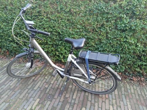 Elektrische damesfiets Livorno