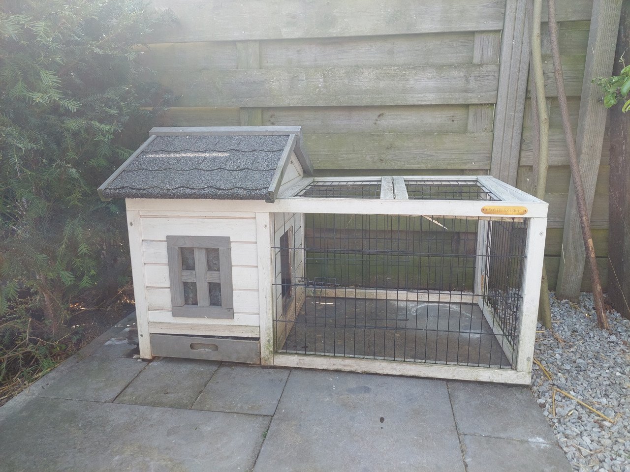 Cavia hok