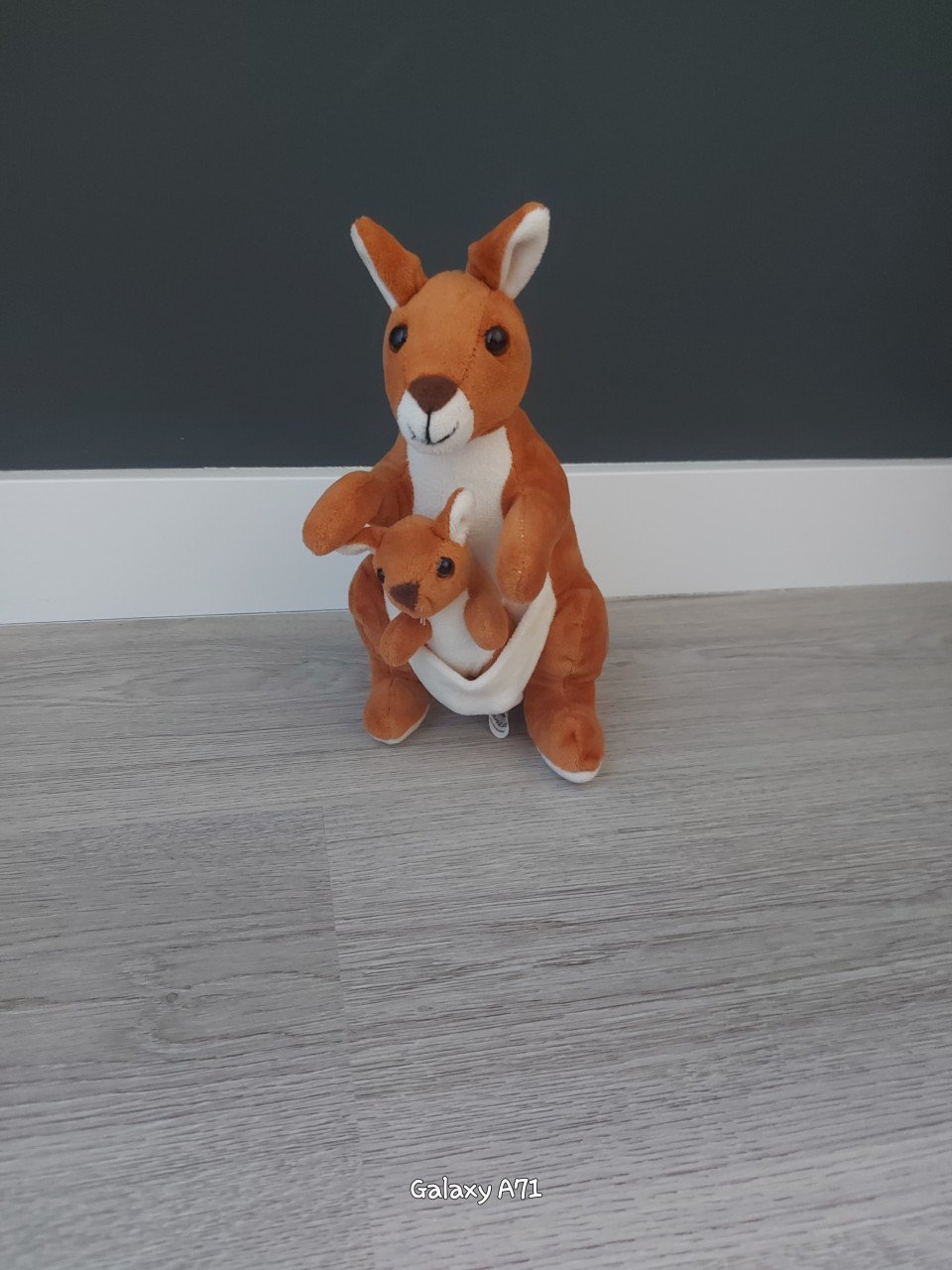 Diverse kleine knuffels