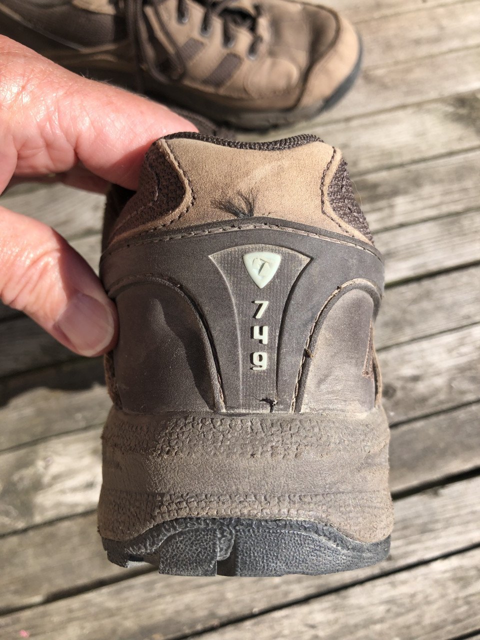 Wandelschoenen