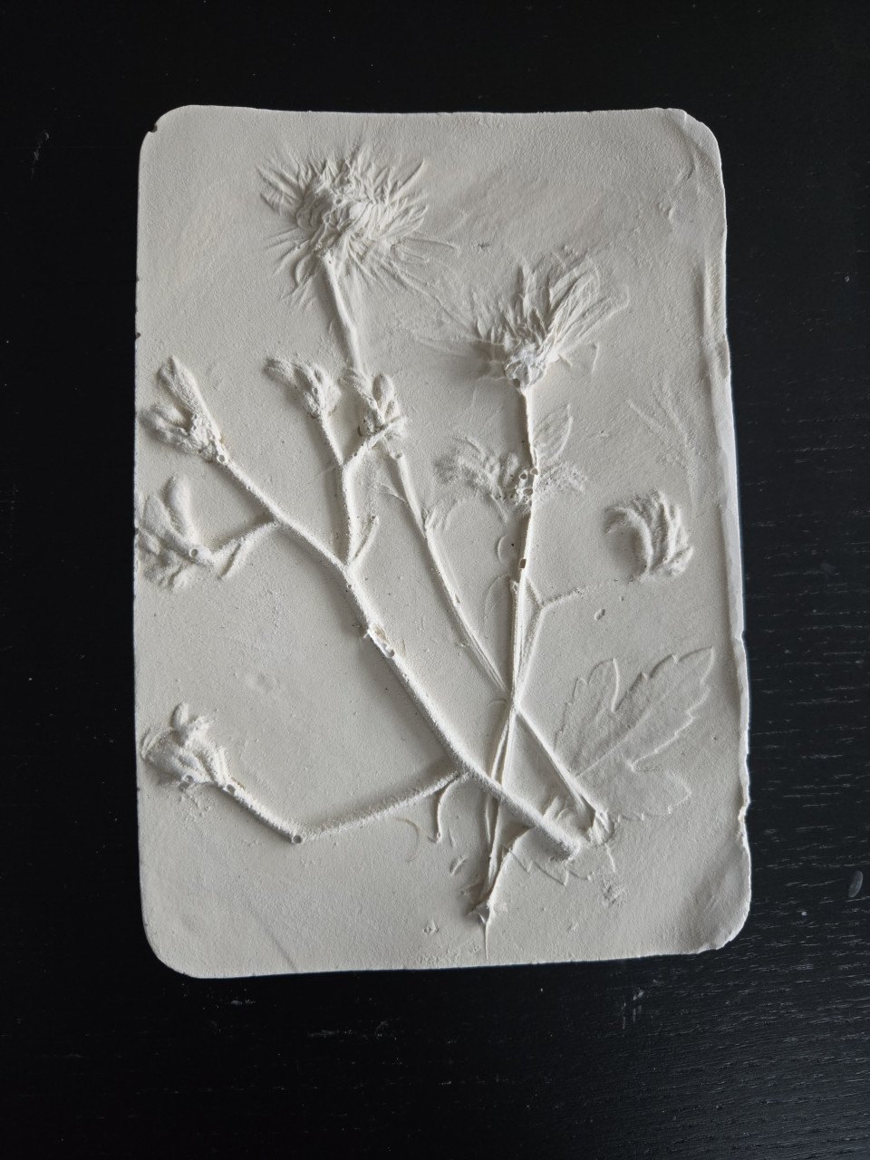 Botanisch schilderijtje maken