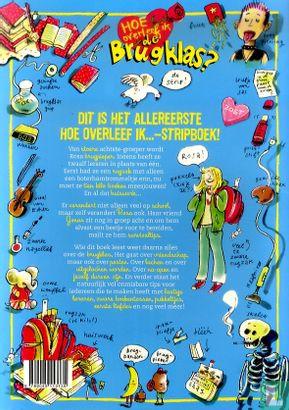 Stripboek: Hoe overleef ik de Brugklas