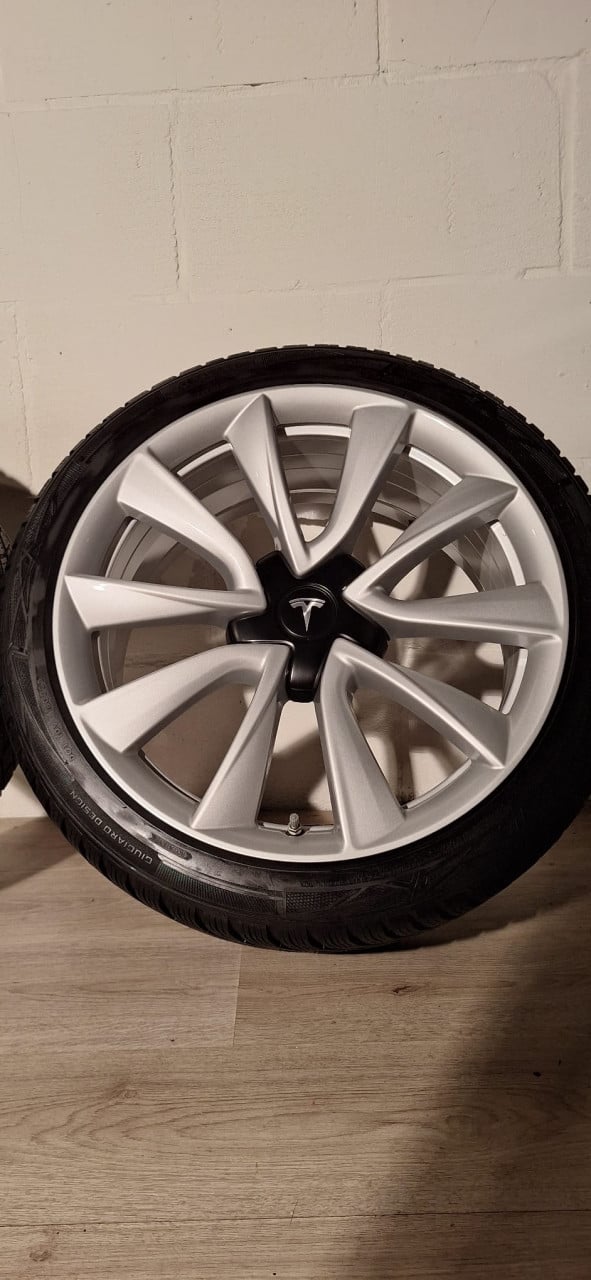 19'' Originele Performance Tesla Model 3 velgen + banden