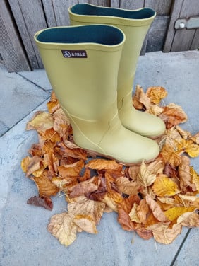 Regenlaars Aigle