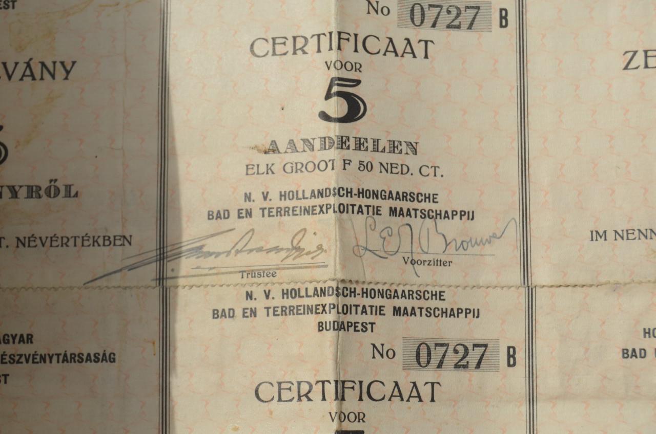 Diverse oude aandelen 1870 - 1910