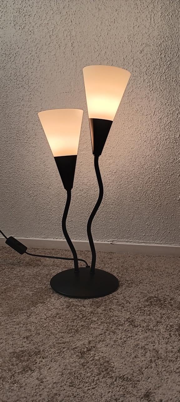2 mooie LAMPEN