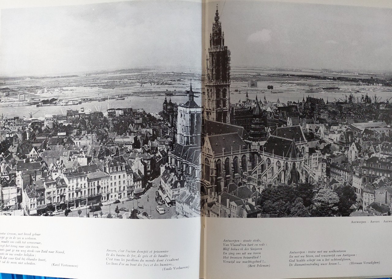 Eeuwige Schelde