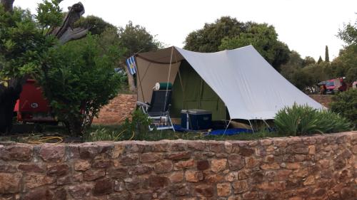 Randstad familietent Bunzing