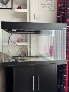 Aquarium
