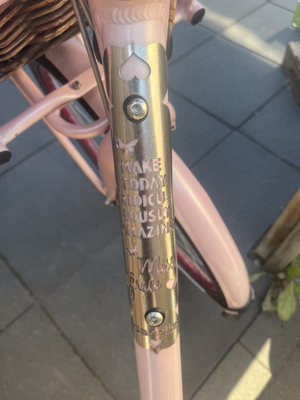 2 Damesfietsen Gazelle ( Miss Grace en Esprit)