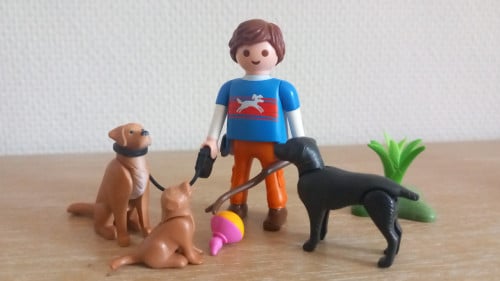 Playmobil hondjes met baasje setnr 9279