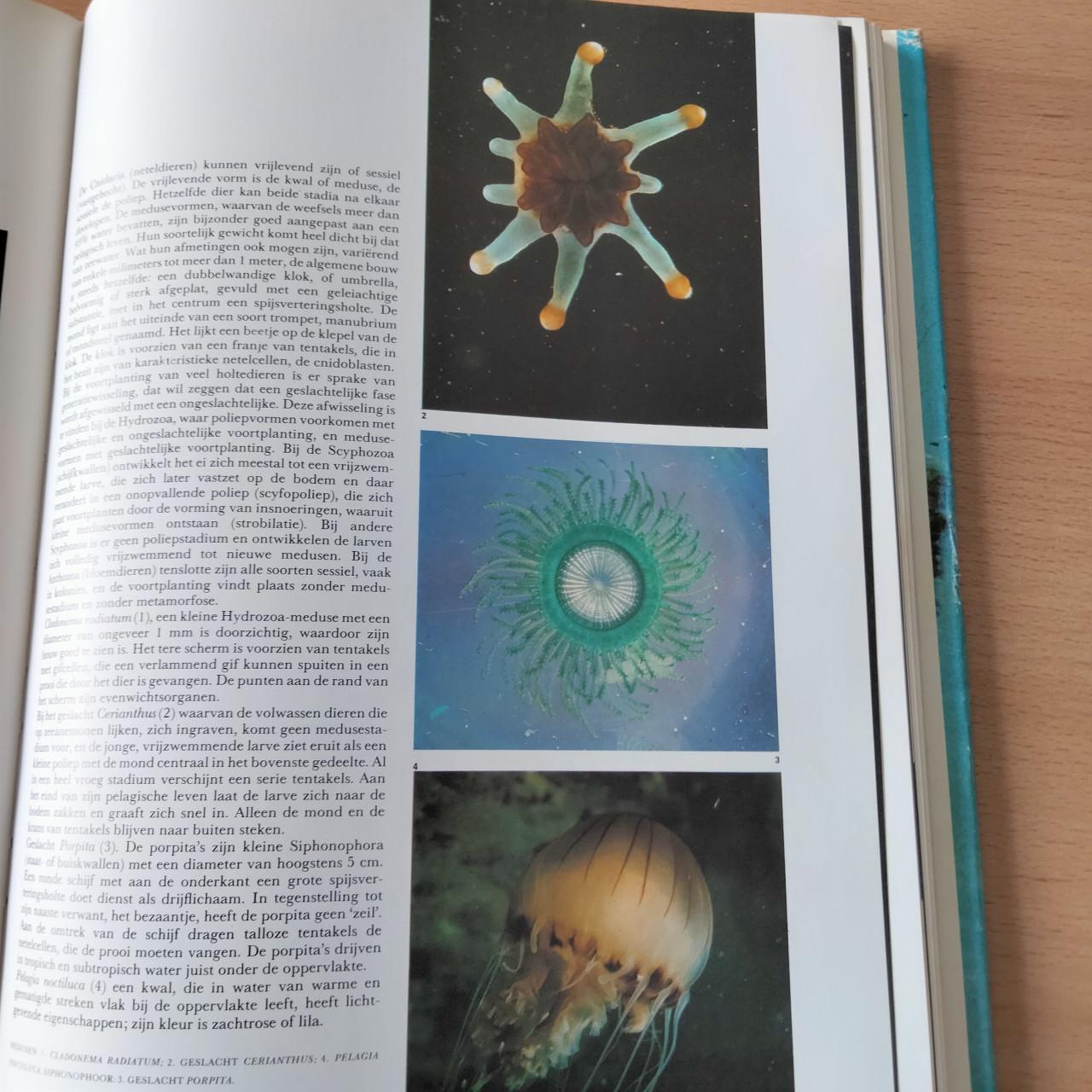 2 prachtige boeken over natuur.