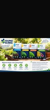Dungking