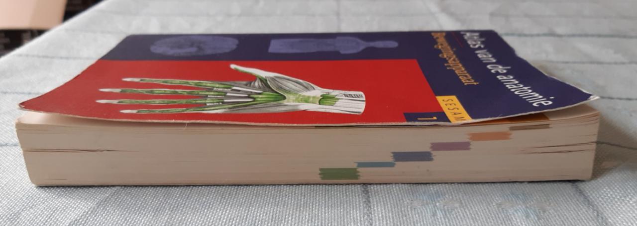 Sesam atlas van de anatomie  deel 1: bewegingsapparaat