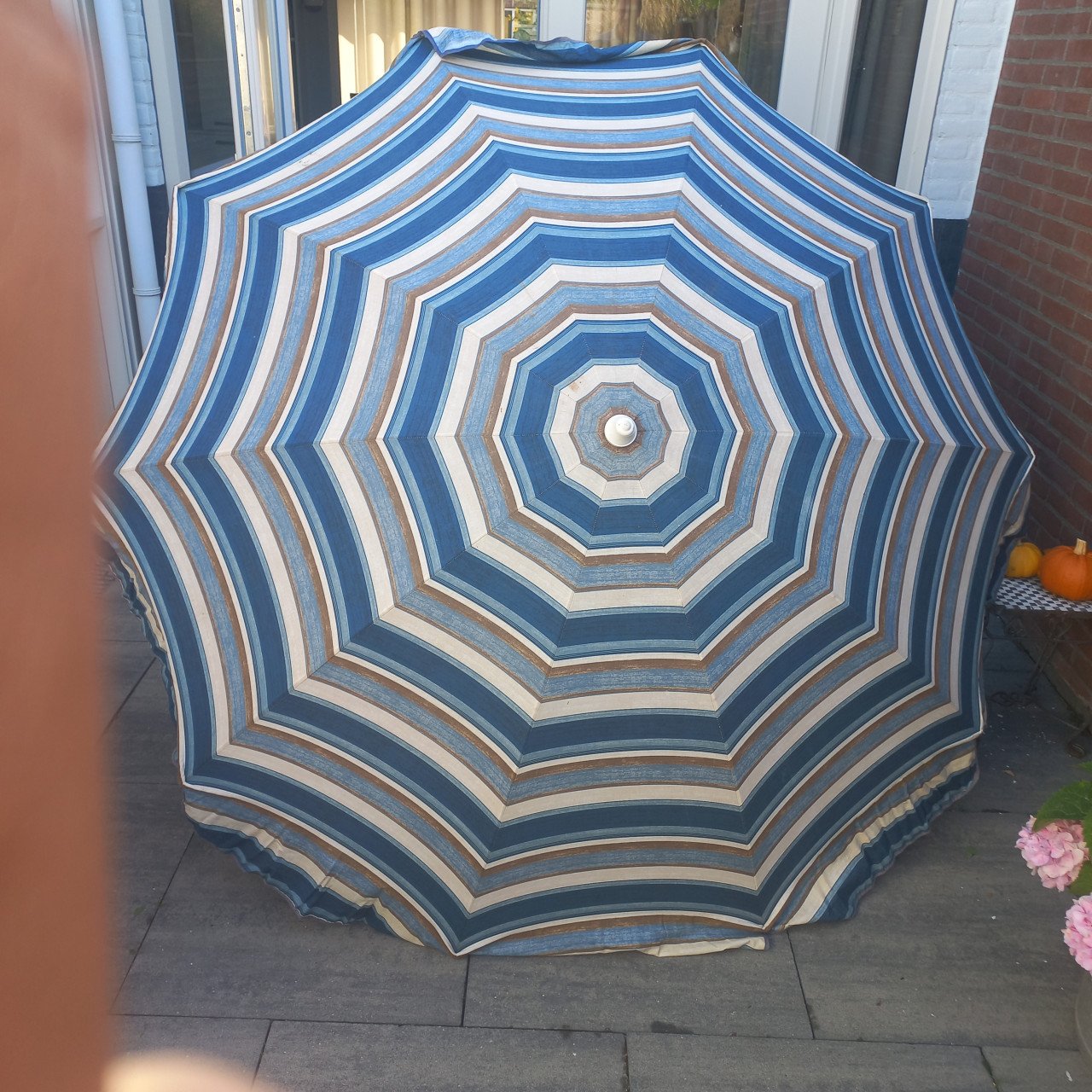 Parasol