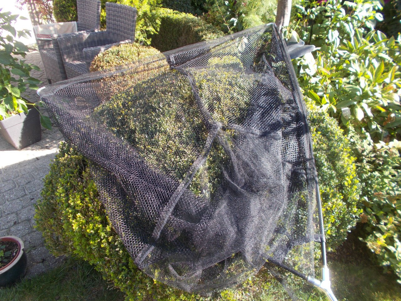 GROOT KARPERNET met carbon steel